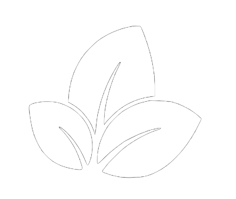 Coffee Bean
